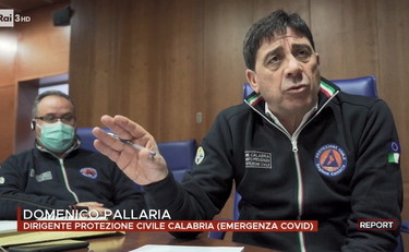 Domenico Pallaria