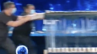 Ma cosa fa?. Tu si que vales, giudici inorriditi: vedete queste lastre di ghiaccio? Follia pura | Video