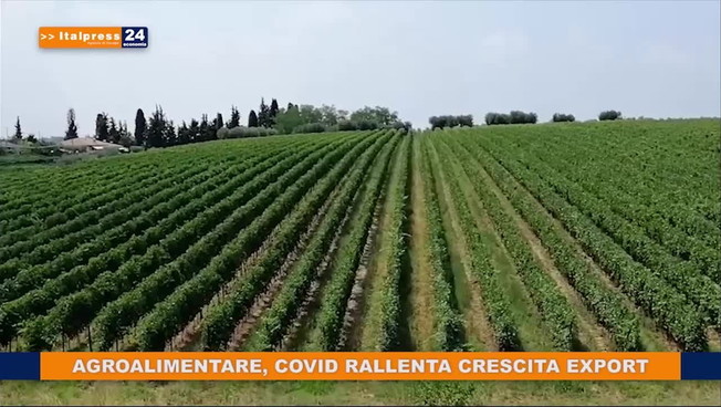 Tg Economia - 24 dicembre