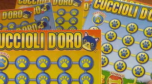Il Gratta e Vinci non si gratta, senza precedenti: Ma io voglio quello. Un caso nazionale, cosa c'è dietro?
