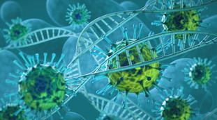 Variante Delta cancellata dalla Lambda? Come infetta le nostre cellule, la mutazione più pericolosa