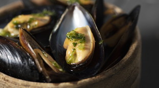 Toxic mussels, very serious health risks: here is the famous product to avoid | Look