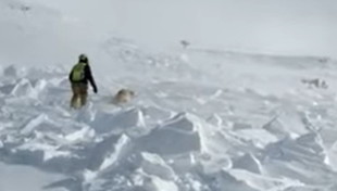 Clima impazzito in Valle d'Aosta, valanga travolge soccorritore: choc sulle piste | Immagini forti