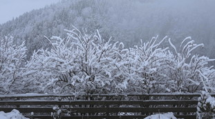Meteo estremo, meno 37 gradi. Mai visto a novembre e adesso l'Italia trema