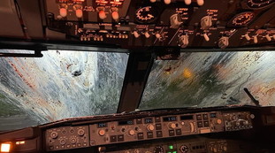 Bologna, stormo di aironi contro aereo Ryanair: visibilità azzerata e motore ko, un finale pazzesco