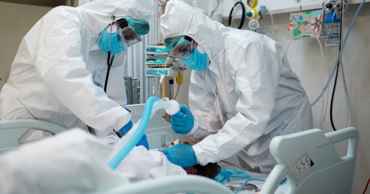 17.744 nuovi casi e 34 decessi, bollettino: perché ora è il vaiolo delle scimmie a preoccupare 17.744 nuovi casi e 34 decessi, bollettino: perché ora è il vaiolo delle scimmie a preoccupare