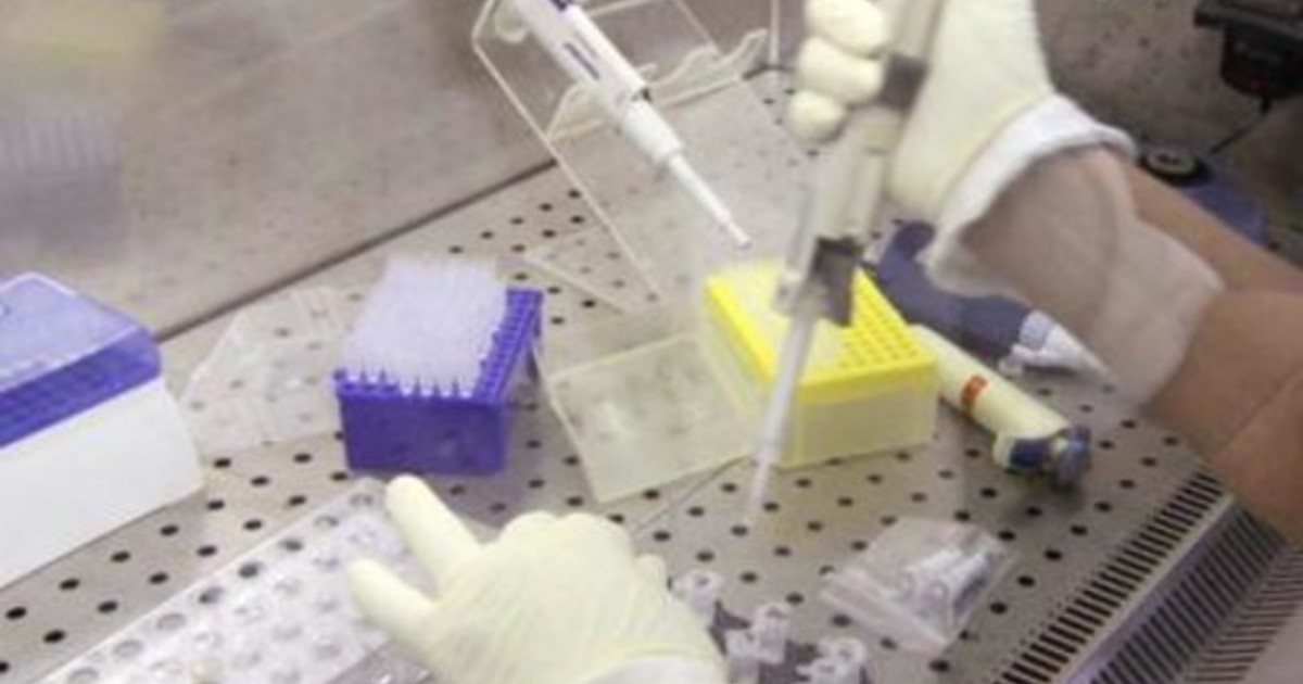 Nuovo virus identificato in Cina, cosa sappiamo finora Nuovo virus identificato in Cina, cosa sappiamo finora