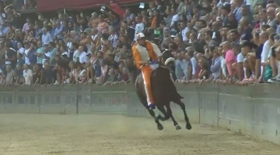Palio di Siena, vince il Leocorno. Delirio in piazza del Campo il fantino Tittia fa la storia