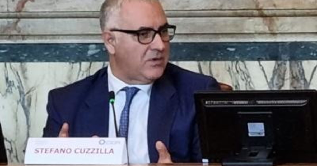 Cuzzilla, Cuzzilla,