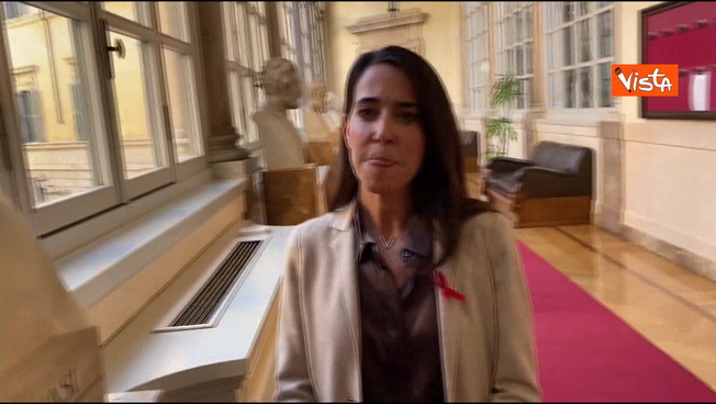 "Ricordati che ti hanno bocciato": Ronzulli, lo schiaffo a Calenda "Ricordati che ti hanno bocciato": Ronzulli, lo schiaffo a Calenda