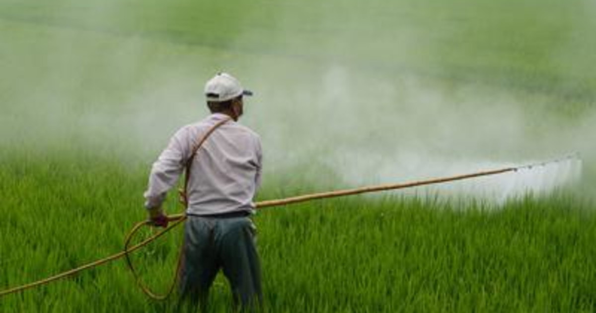 La Cina punta alla riduzione dei pesticidi La Cina punta alla riduzione dei pesticidi
