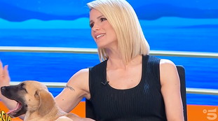 Che figura di mer***: strepitoso, Michelle Hunziker umilia la piddina Gribaudo | Video