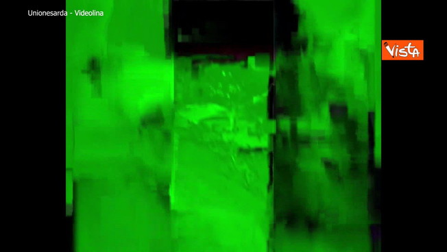 Sardegna, la tartaruga caretta caretta deposita le uova a Tunaria