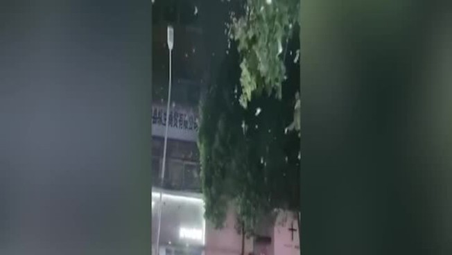 Cina, il volo incontrollato degli uccelli dopo il terremoto: impressionante