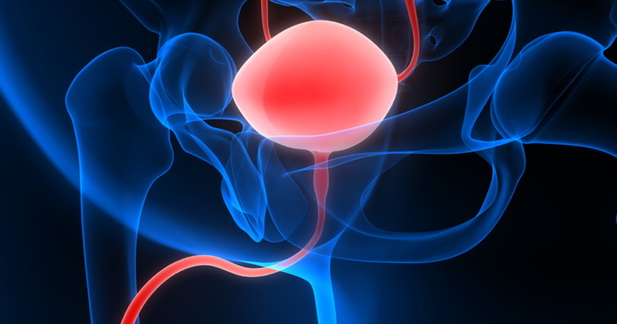 Tumori, il kit diagnostico e le terapie: l'ultima scoperta tutta italiana