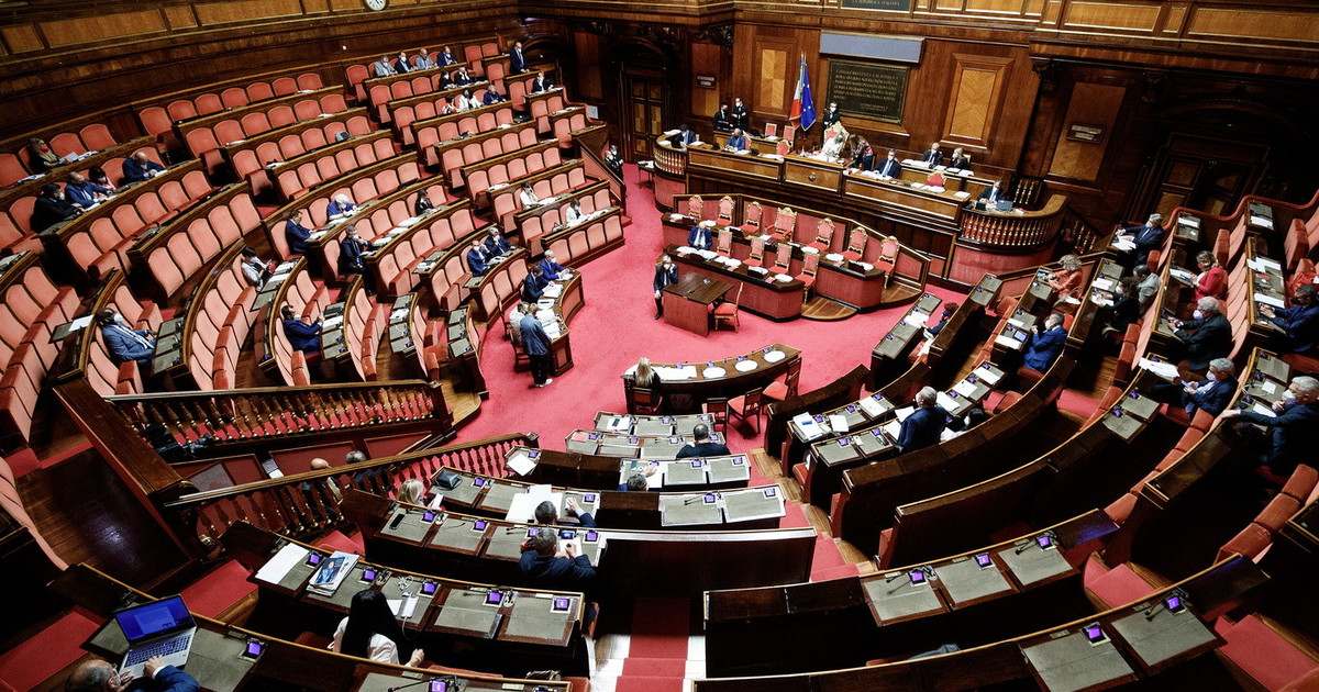 "Quel post non ci piace", "Vannacci? A casa": Forza Italia Lega, storie tesissime "Quel post non ci piace", "Vannacci? A casa": Forza Italia Lega, storie tesissime