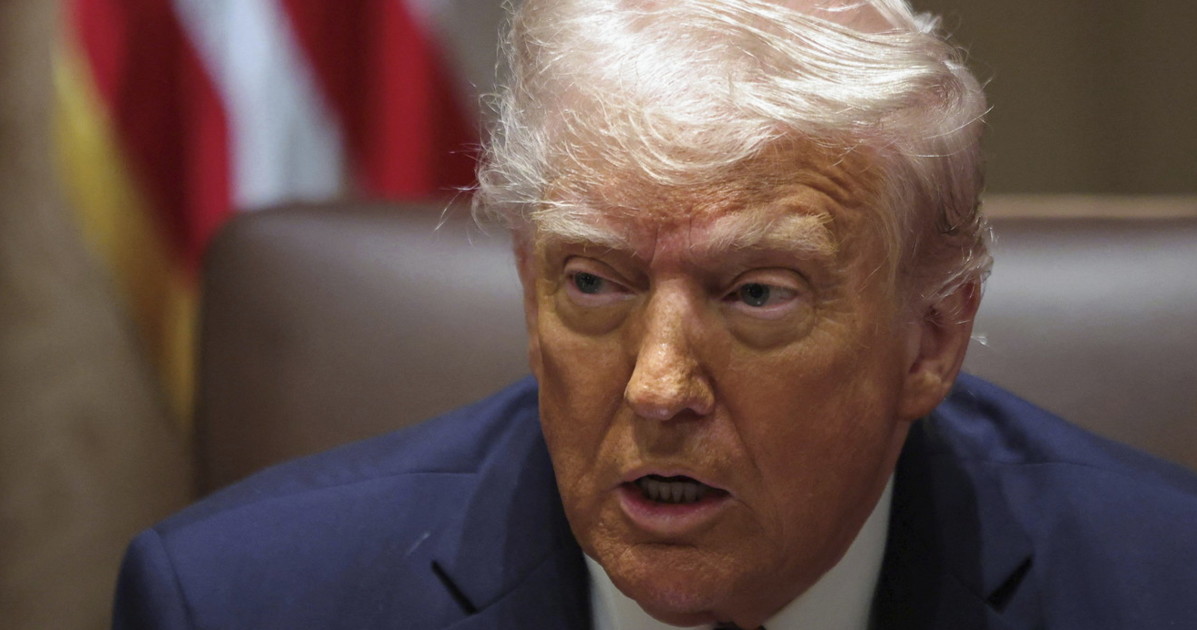 Rondelle Interne Antiurto  Shakeproof  In Acciaio Zincato Misure Ba 0ba 4ba 292659 - Foto 5