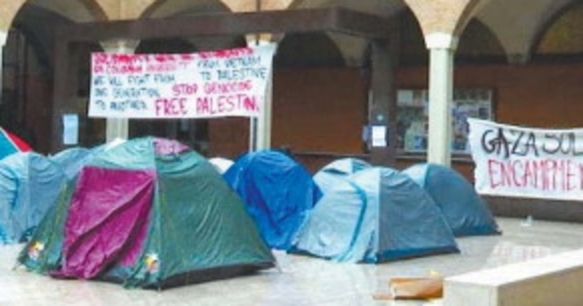bologna lo scandalo cosa insegnano a scuola