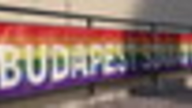 Progress Pride, bandierine arcobaleno trans, 40 bandiere rettangolari in tessuto resistente allo sbiadimento ai raggi UV, per celebrazioni, 10 m, gay, lesbiche, bisessuali, pansessuali, per