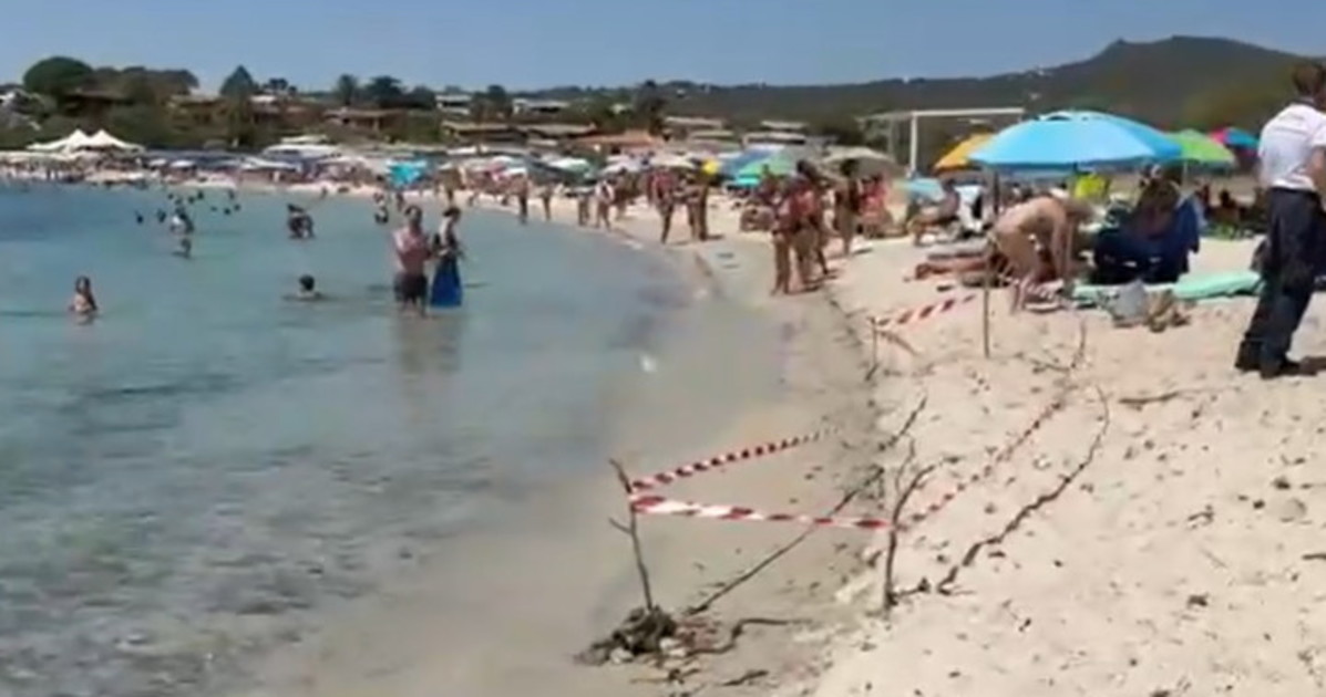 olbia orrore in spiaggia il ritrovamento sconvolge i bagnanti