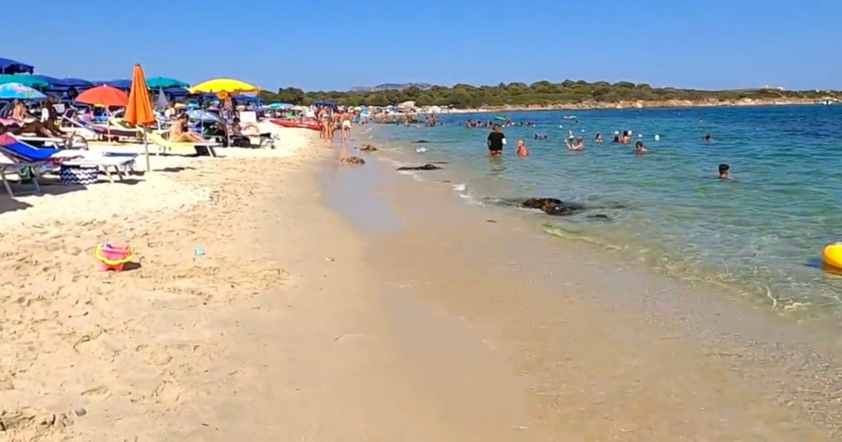 olbia frammenti di carne orrore in spiaggia la mossa del pm