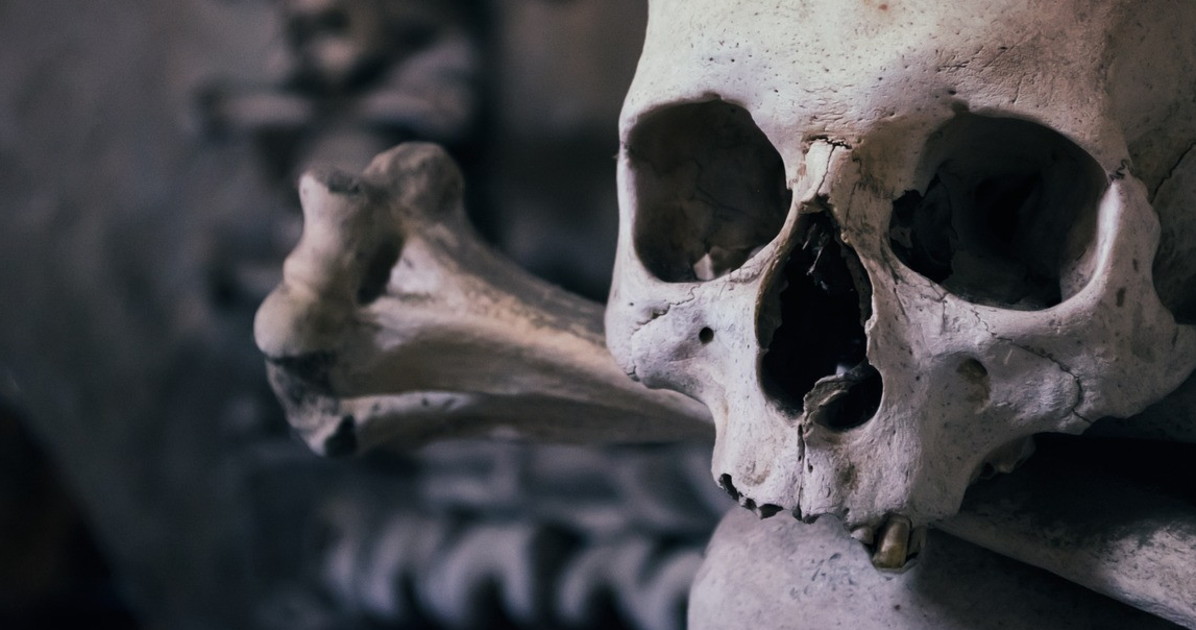 il misterioso mondo dei teschi perduti e ritrovati