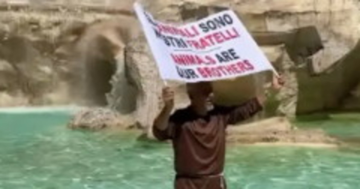 Roma, entra con un cartello nella Fontana di Trevi: chi è quest Roma, entra con un cartello nella Fontana di Trevi: chi è quest