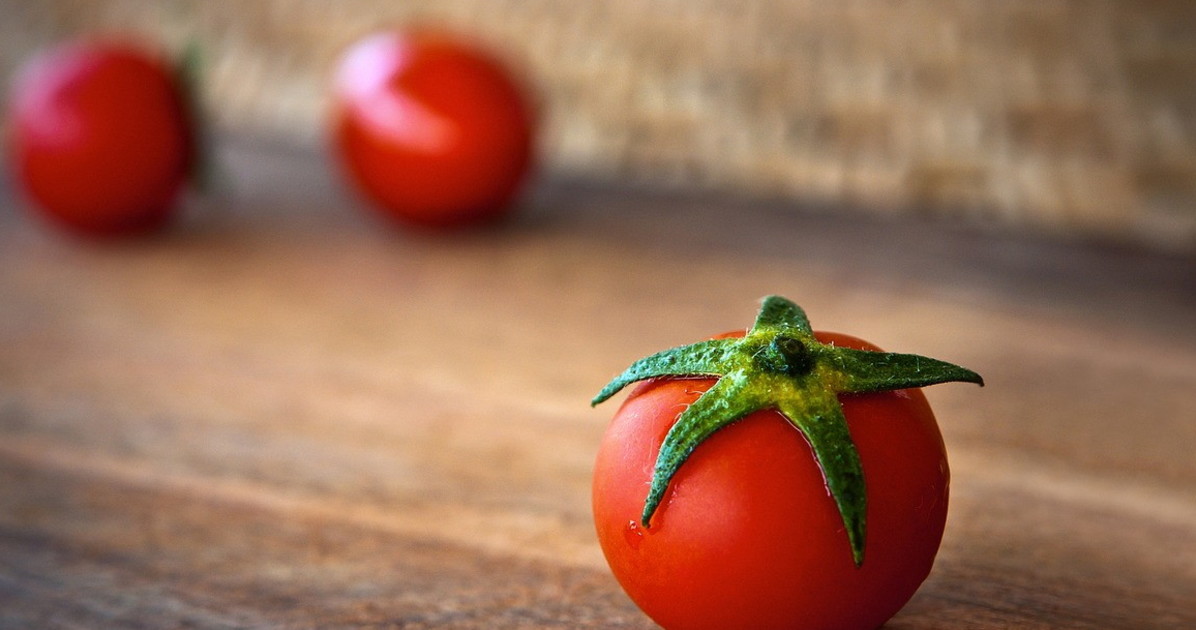 italia patria pomodori cosa ci arriva tavola