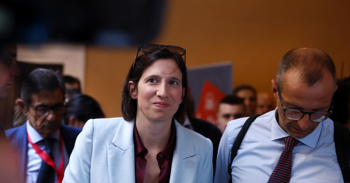 elly perde la faccia incarico al vicecacicco
