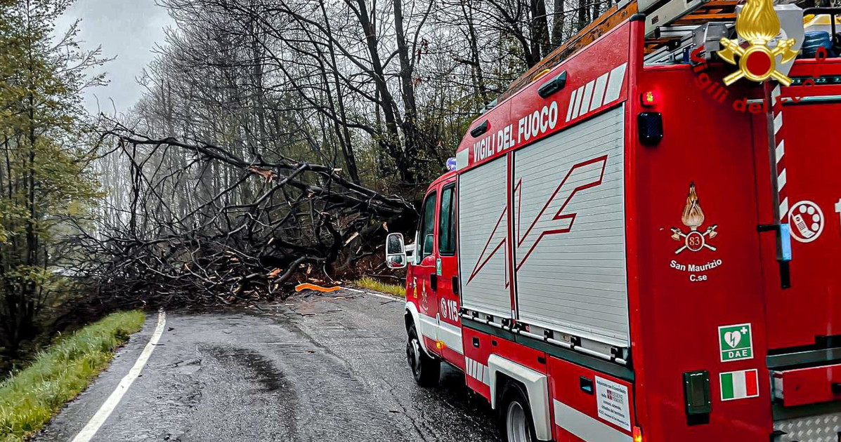Matera, albero colpito da un fulmine si abbatte su un