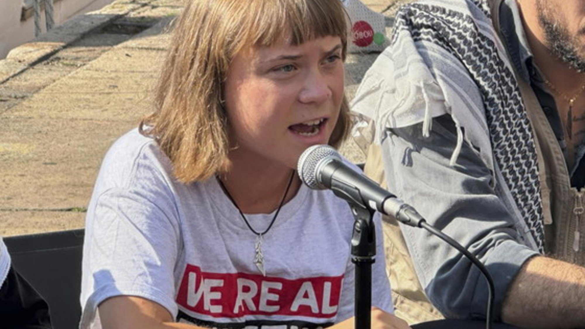 La flotilla di Greta secondo voi sarà respinta da Israele?