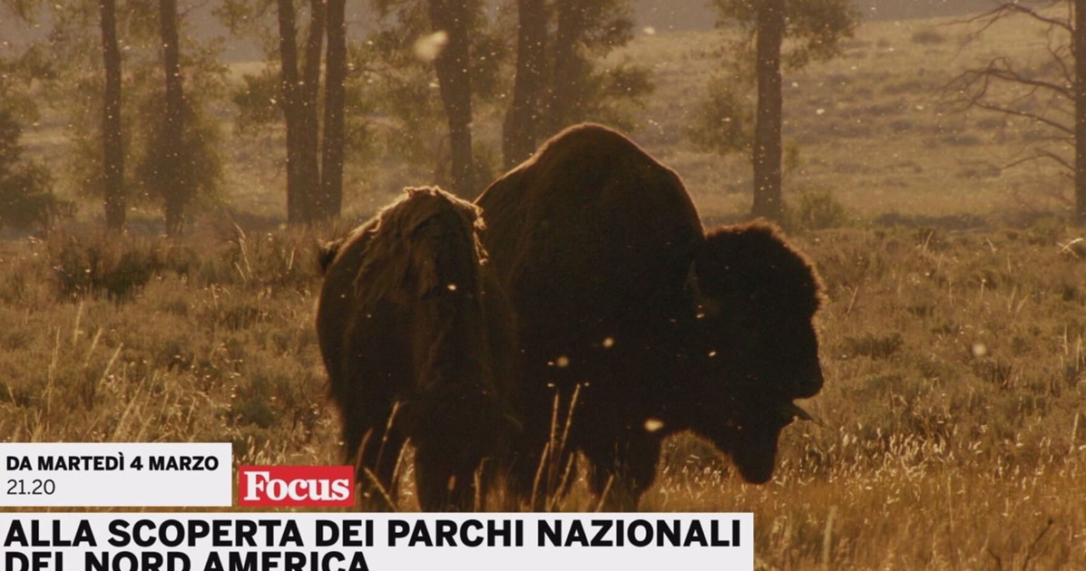 Canale 5, tutti pazzi per i parchi Usa Canale 5, tutti pazzi per i parchi Usa