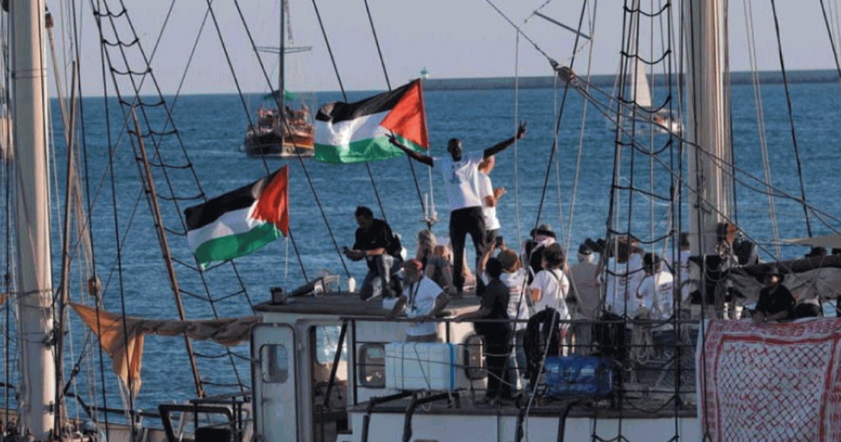Flotilla, ecco i diari di bordo: i proPal giocano a fare la guerra Flotilla, ecco i diari di bordo: i proPal giocano a fare la guerra