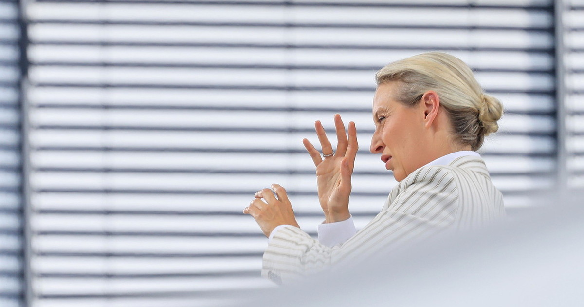 Afd, "i morti ora sono 7": clamoroso, si ristampano le schede Afd, "i morti ora sono 7": clamoroso, si ristampano le schede