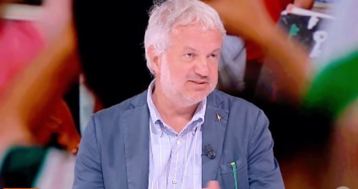 Borghi replica alla Berlinguer: "Flotilla, due ondettine e indietro"