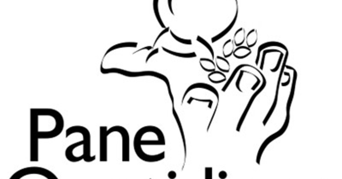 Pane Quotidiano ONLUS premia Foodrescue: innovazione e giovani talenti per combattere lo spreco alimentare 