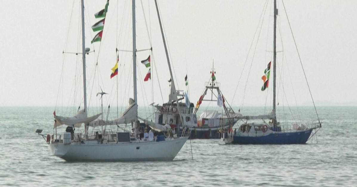 flotilla pro pal e l era di hitler quelle similitudini