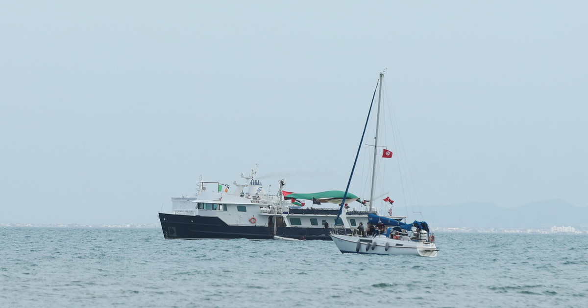 "Giornalista cacciata?" La supercazzola della Flotilla: scatta lo scaricabarile