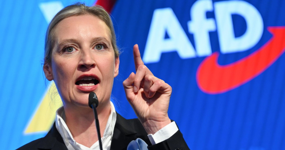 Germania, Afd a valanga nelle elezioni regionali: ora Friedrich Merz ...