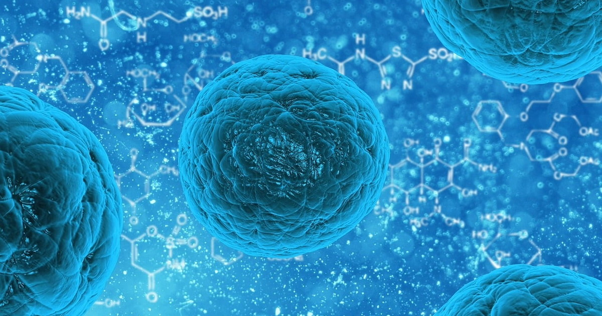 Verona, il virus tropicale assedia la città: un incubo, sintomi e conseguenze