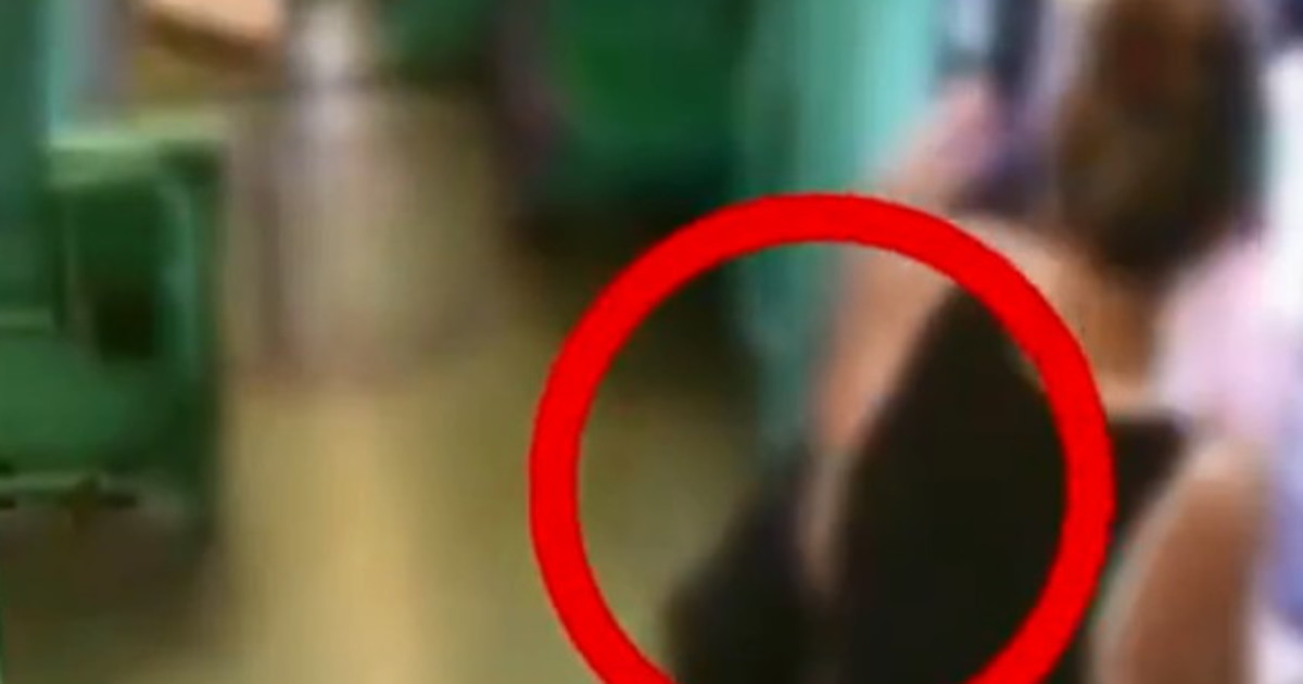 Milano, il video choc del cieco massacrato dai marocchini: immagini forti