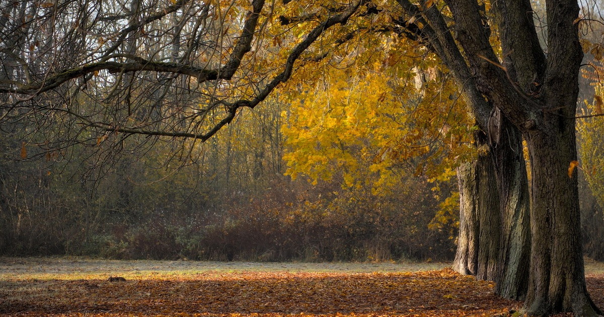 autunno il segreto di settembre bilanci e promesse l eterno cambiamento