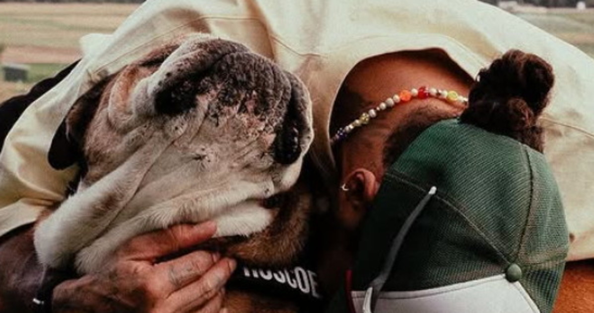 lewis hamilton rosco 232 morto tra le mie braccia un addio straziante