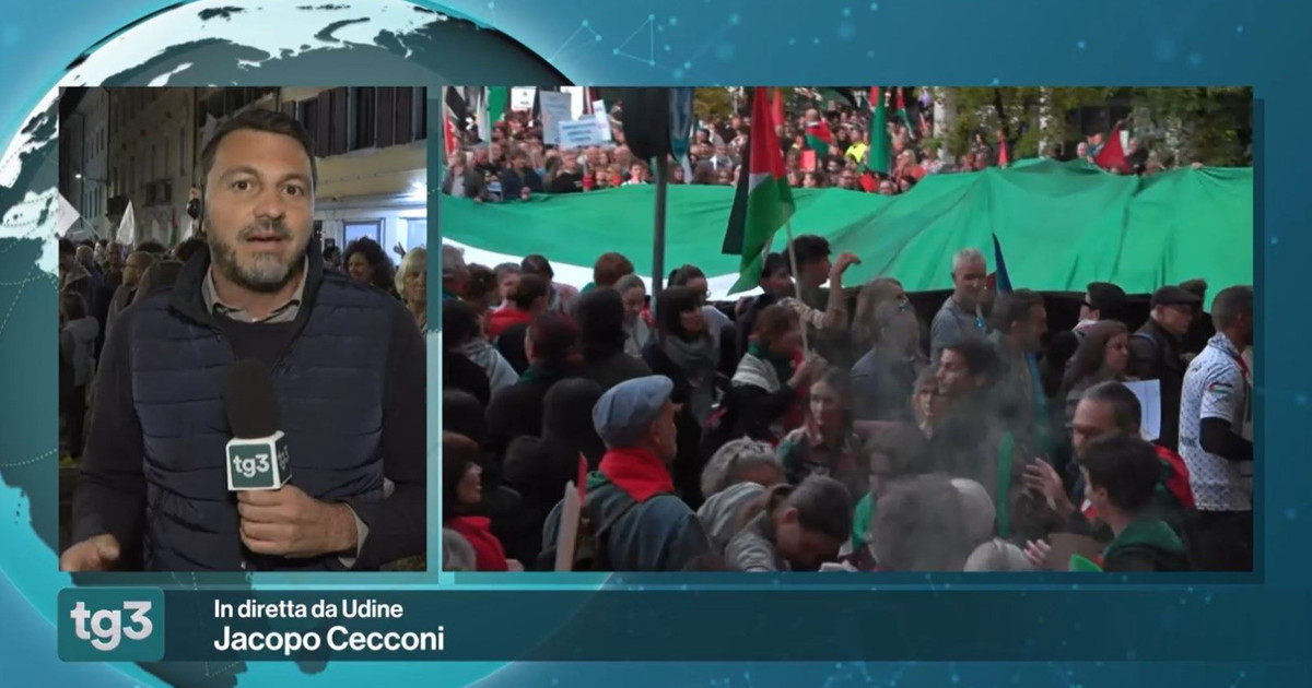 Tg3, la surreale difesa per Cecconi dopo il disastroso lapsus su Israele Tg3, la surreale difesa per Cecconi dopo il disastroso lapsus su Israele