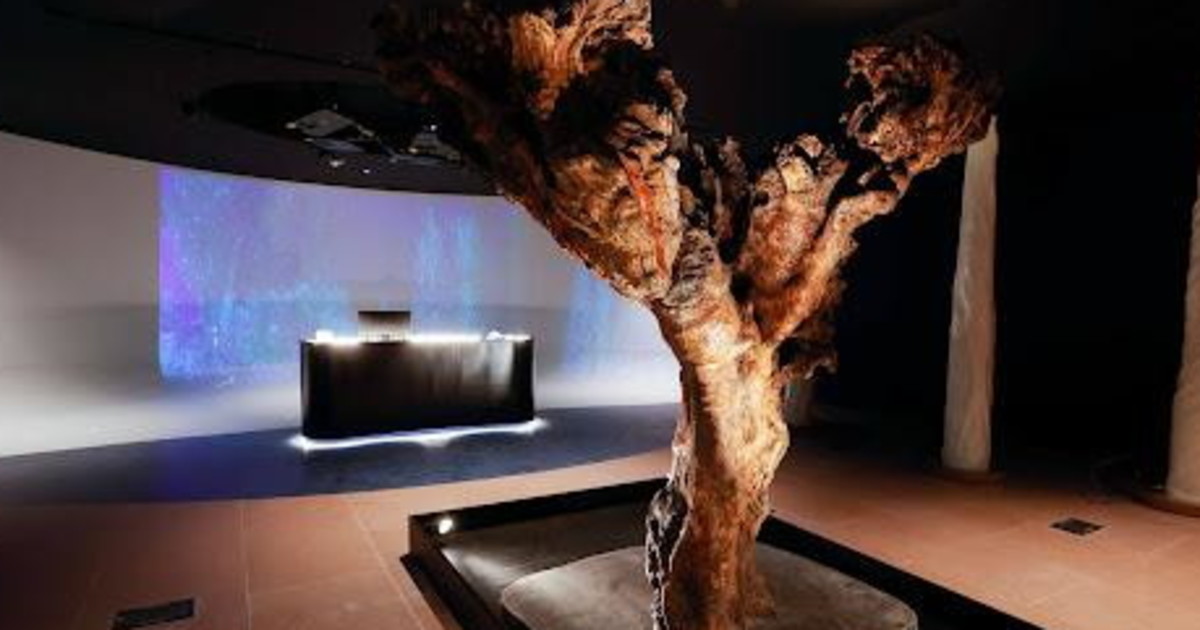 Rimond realizza il progetto del nuovo Fao MuNe a Roma Rimond realizza il progetto del nuovo Fao MuNe a Roma