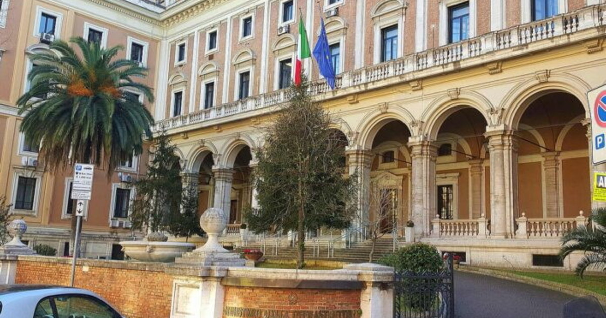 Ncc Italia: “Il ministero dei Trasporti porta avanti una guerra personale, lavorare insieme per il settore”
