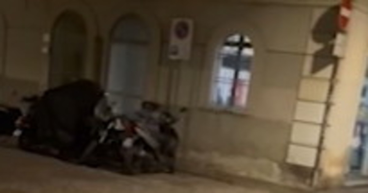 Parma, inni al Duce nella sede di FdI? Il Pd insorge: ma Donzelli li smentisce a tempo record Parma, inni al Duce nella sede di FdI? Il Pd insorge: ma Donzelli li smentisce a tempo record