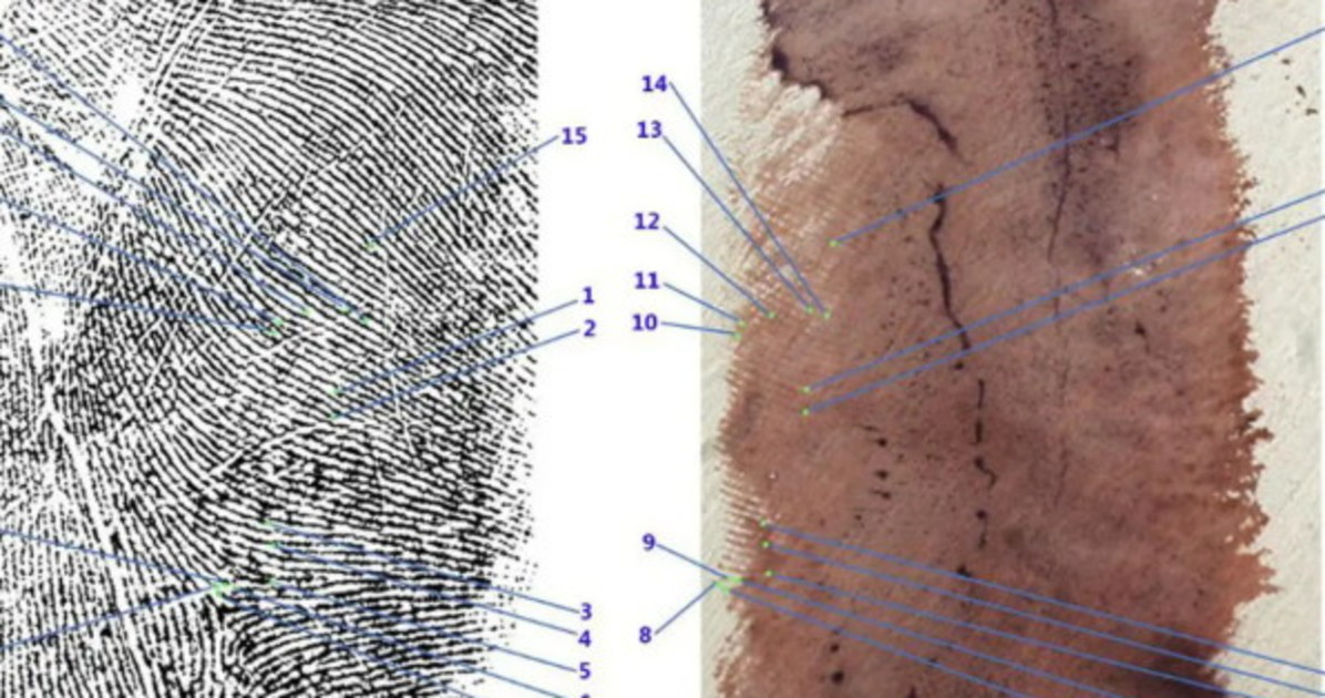 Garlasco, Sempio da Vespa: "Ho molti dubbi sull
