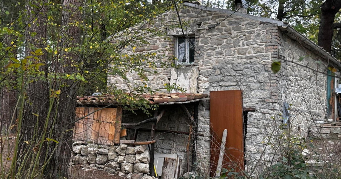 famiglia nel bosco l anm attacca meloni e salvini il caso deflagra