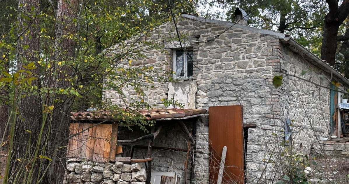 Famiglia nel bosco, ecco chi sono e come vivono i "neorurali" Famiglia nel bosco, ecco chi sono e come vivono i "neorurali"